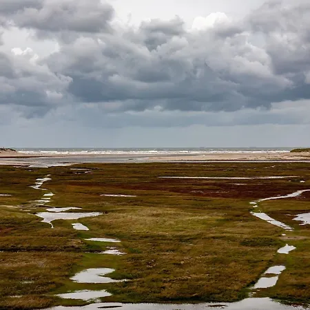 On Texel Island With Terrace *