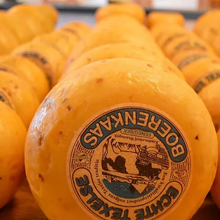 Casa de Férias On Texel Island With Terrace *