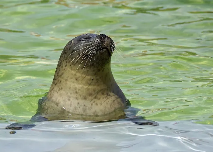 Дом отдыха On Texel Island With Terrace *